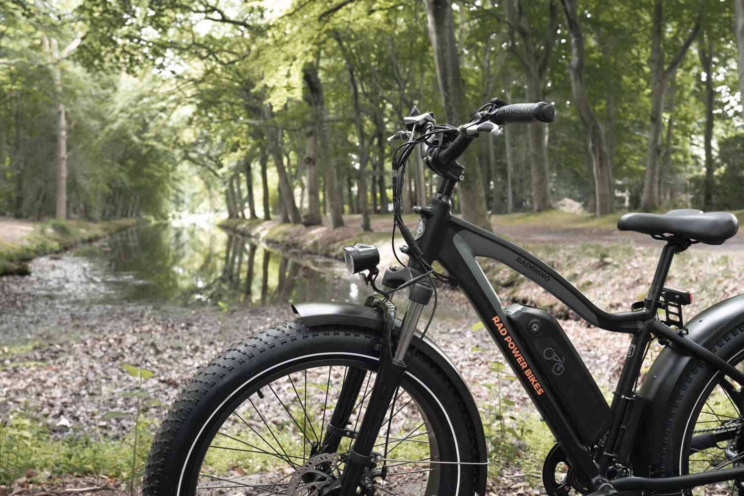 Rad Power e-bike
